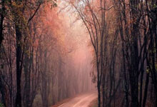 [赛艇]全国赛艇冠军赛第一站在成都落幕.