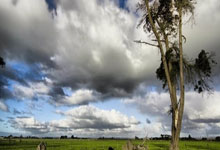 非凡娱乐官网：斯特拉斯堡主帅：巴黎是欧冠大热门，他们是目前.