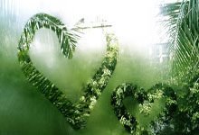 非凡娱乐官网：速滑四大洲锦标赛：中国队夺得女子团体追逐金牌新华网.