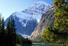 乒乓球——WTT重庆冠军赛：王曼昱晋级八强.