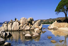 非凡娱乐官网：曝周琦已做完眼角膜手术 4年前出现视网膜裂孔.